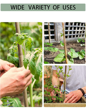 Moromyse outdoor stakes provide natural, durable garden support