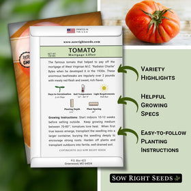 Mortgage Lifter giant beefsteak tomato on the vine promises big, flavorful slices.