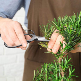MOSFiATA ergonomic bonsai tools with non-slip handles reduce fatigue