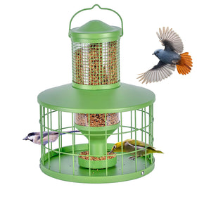 Mosloly caged bird feeder with a clear window for easy seed monitoring.