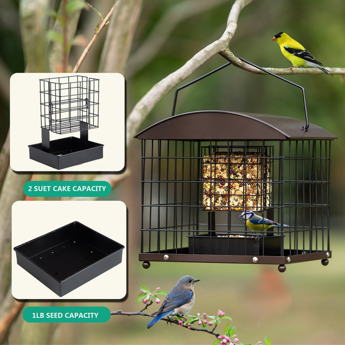Mosloly detachable assembly makes filling and cleaning easy