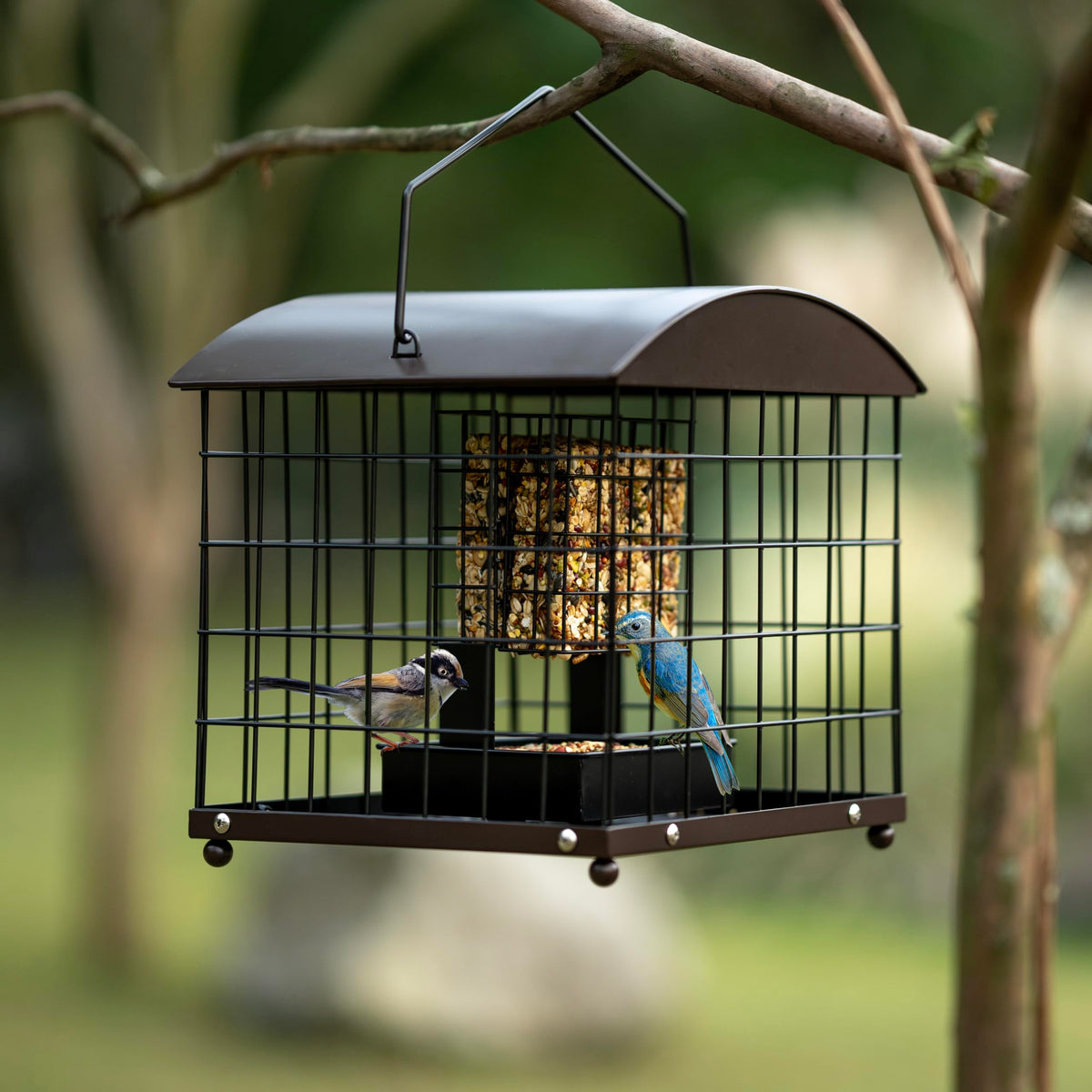 Mosloly hanging outdoor feeder for versatile yard placement