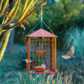 Mosloly Mealworms Bird Feeder: detachable assembly for easy setup and cleaning.