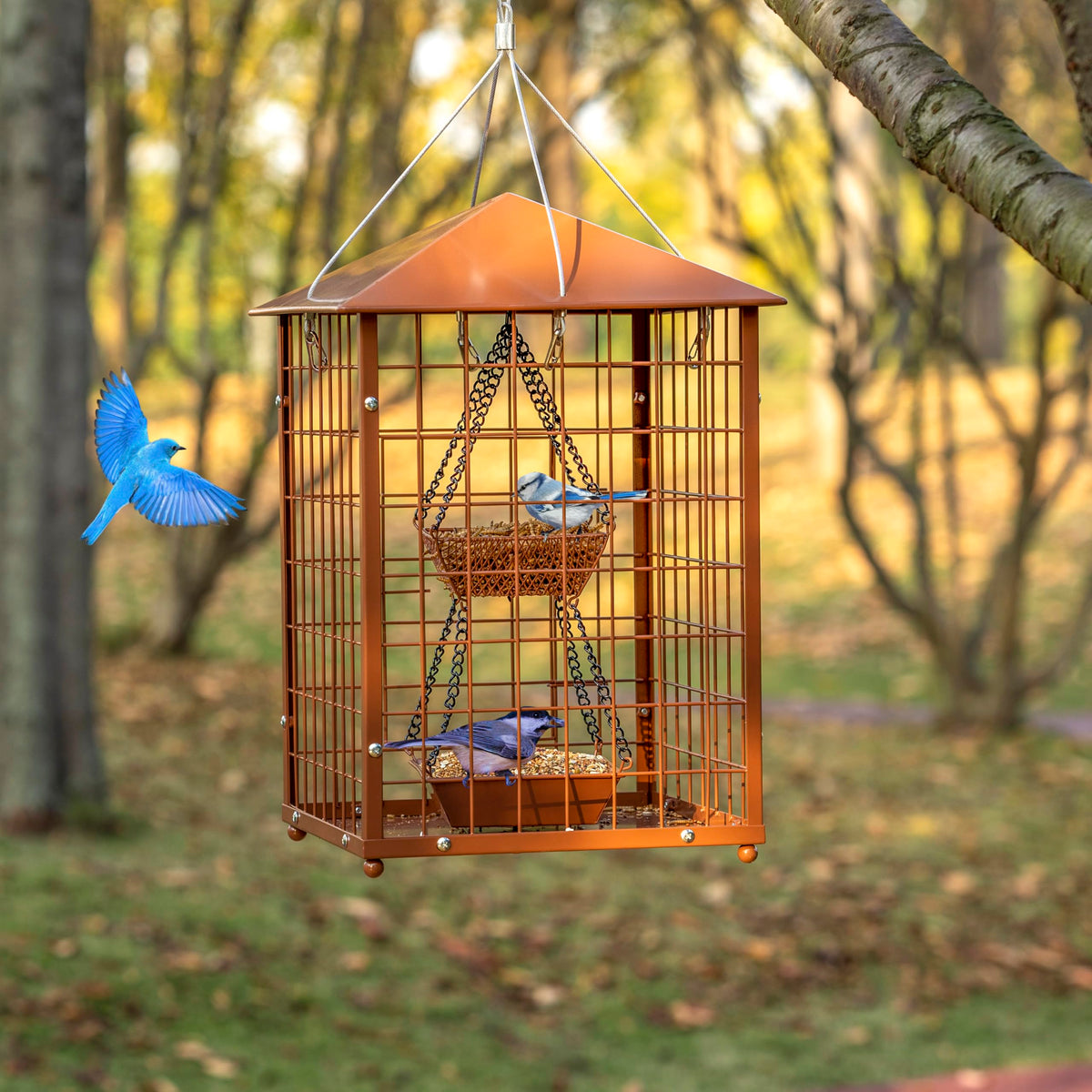 Mosloly Mealworms Bird Feeder: gift-worthy design for bird lovers.