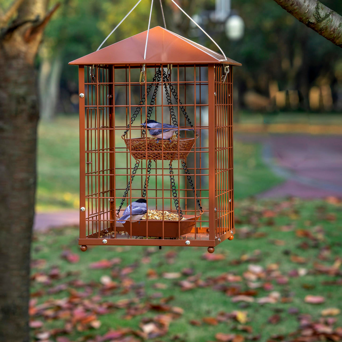 Mosloly Mealworms Bird Feeder: durable 7-pound design for long-term outdoor use.