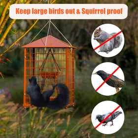 Mosloly Mealworms Bird Feeder: seed capacity two cups plus a mealworms cup.
