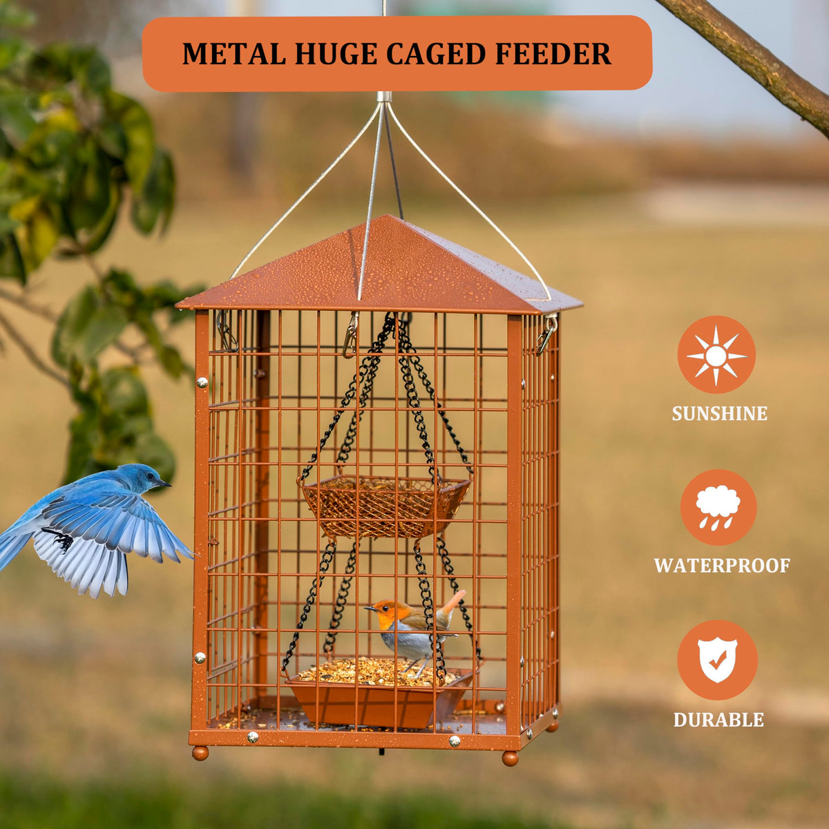 Mosloly Mealworms Bird Feeder: weather-proof roof keeps seed dry in rain and snow.