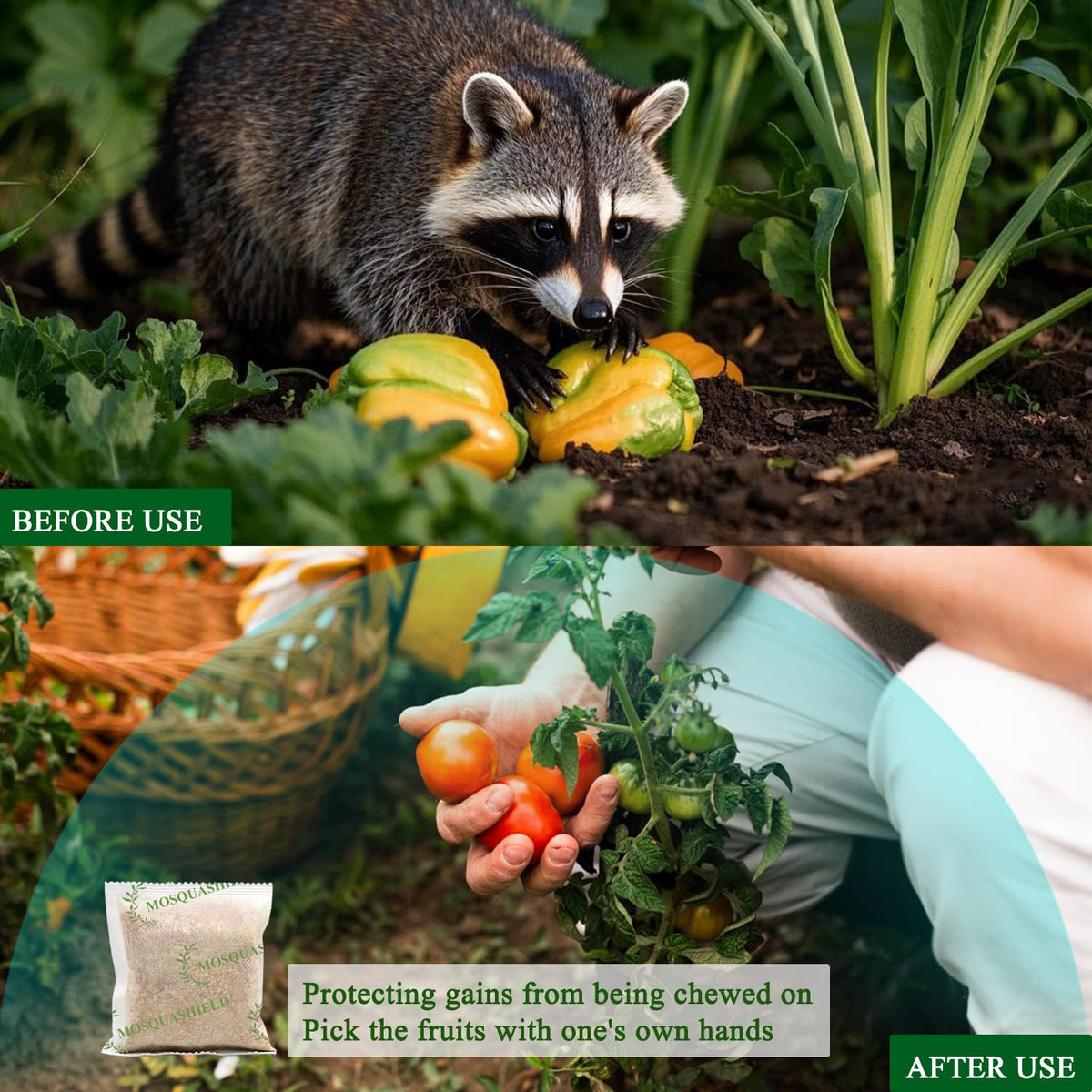 Breathable non-woven packaging provides gradual oil release and eco-friendly use.