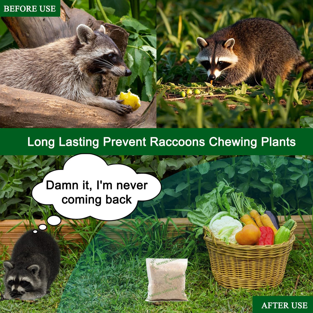 Easy-to-place 8 bags ready for high-traffic raccoon areas.