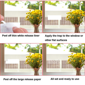 Mosqueda traps suitable for damp areas like basements and bathrooms
