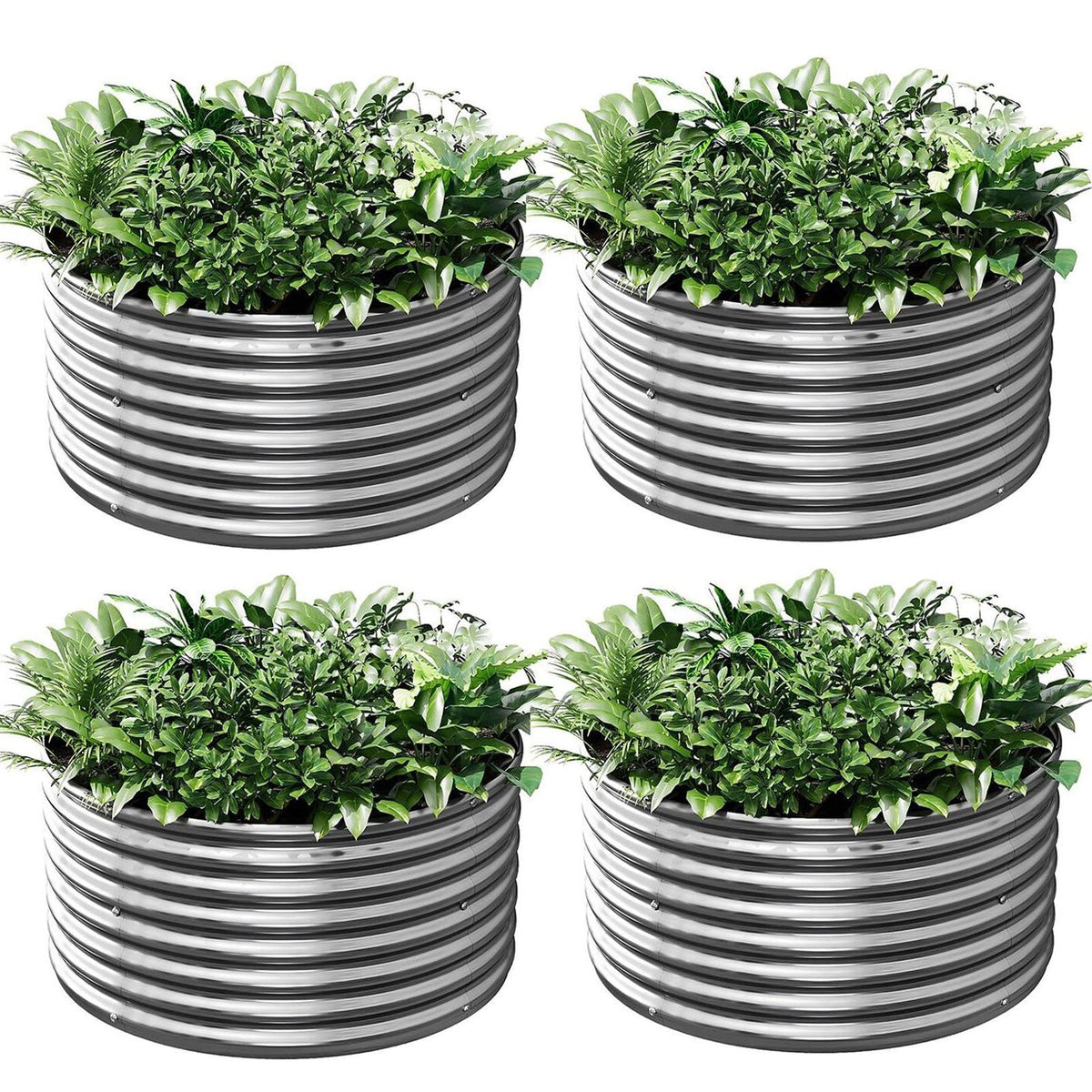 Mostmahes four-pack tall round galvanized raised bed ideal for vegetables.