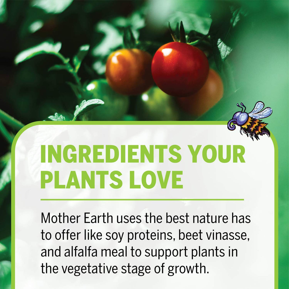 Mother Earth LiquiCraft Grow tomatoes thriving in the vegetative stage.