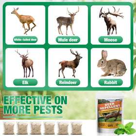 Motrapso deer pouches beside fruit trees, natural ingredients guarding ripening fruit.