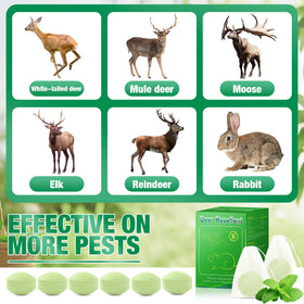 Motrapso peppermint ball in garden creates scent barrier without harming plants