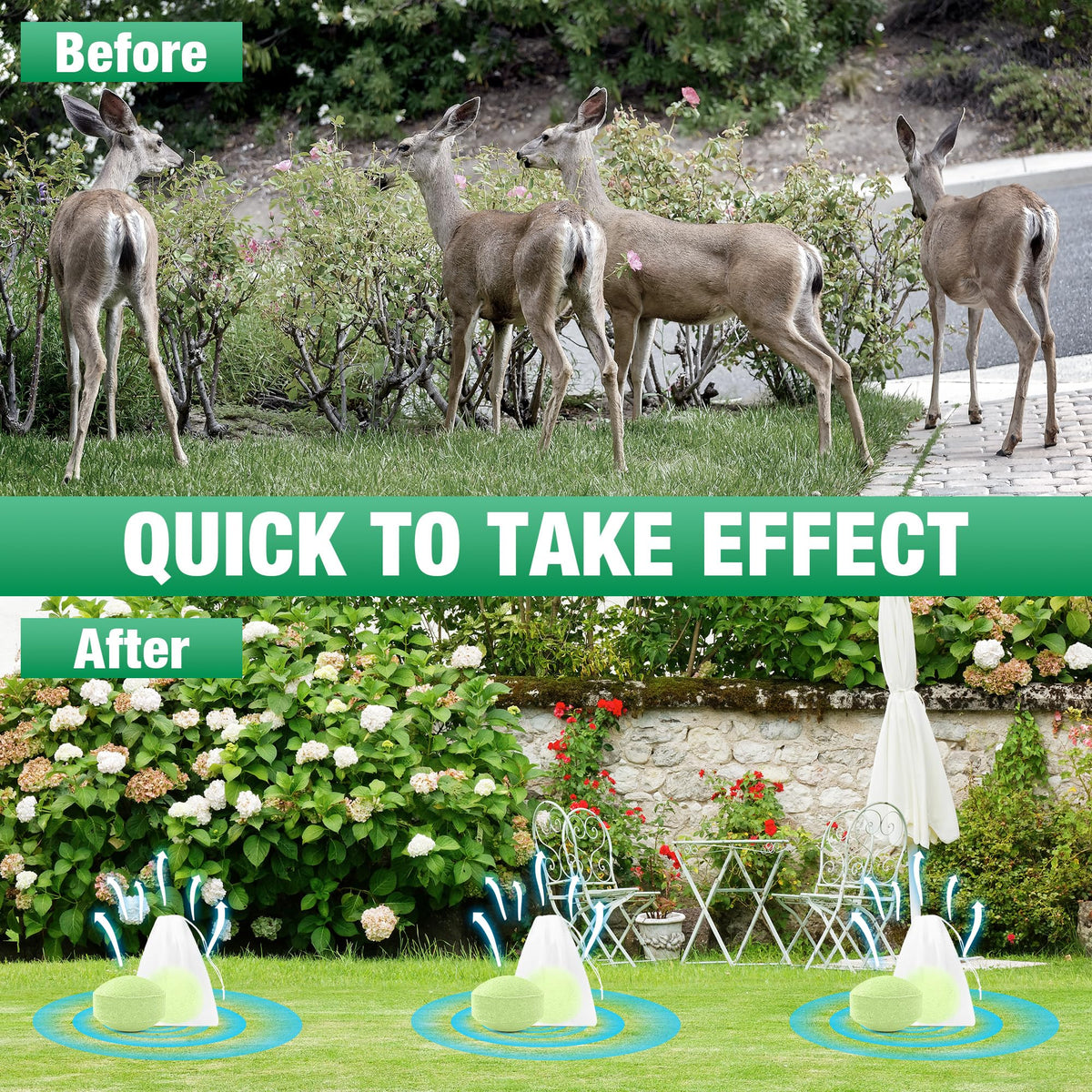 Motrapso deer repellent peppermint ball pack 2 ready to deter browsing deer safely