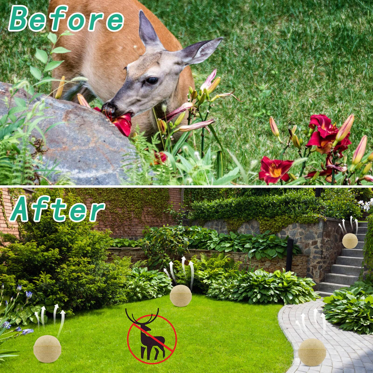 Motrapso garden deterrent suitable for outdoor beds and trees.
