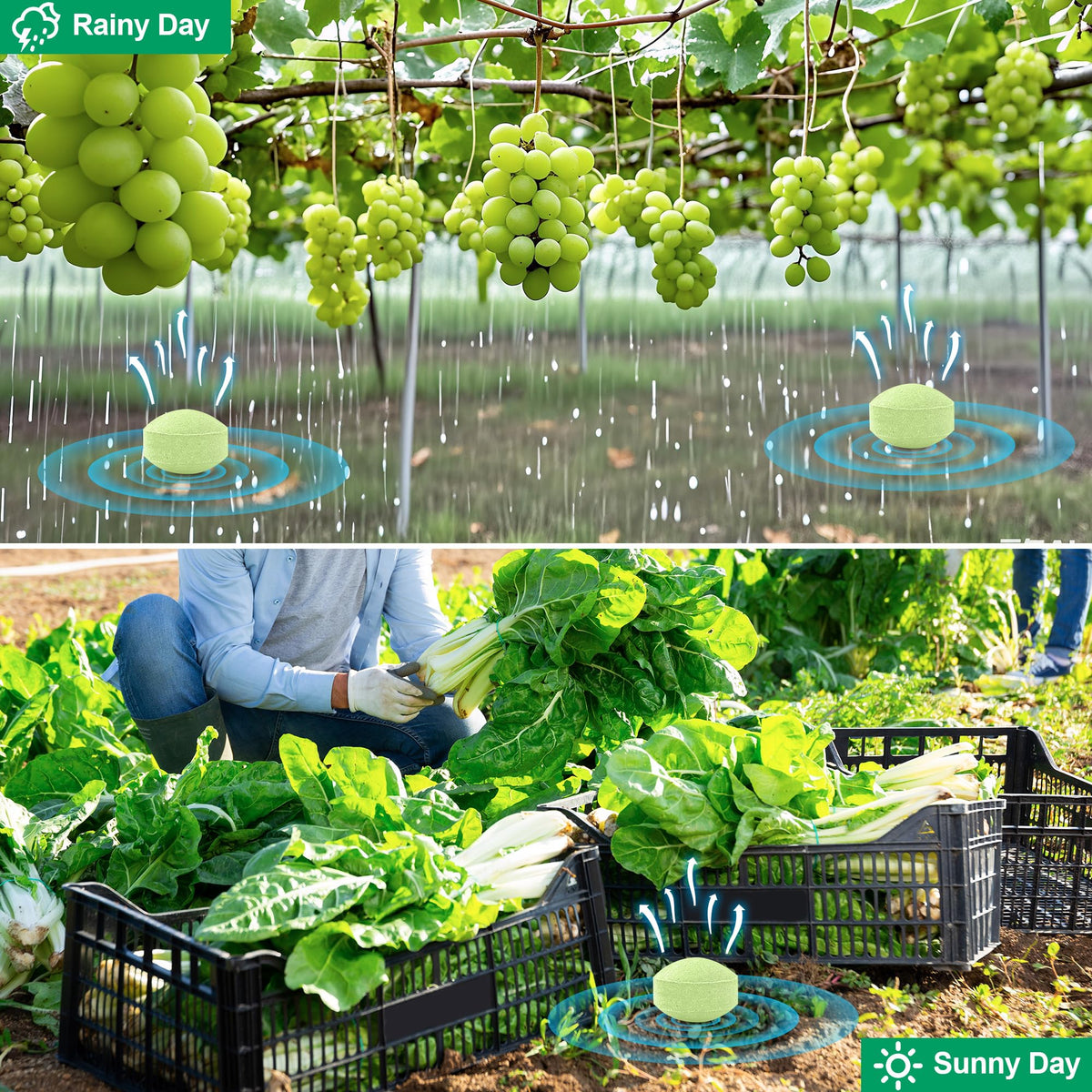 Motrapso rain-resistant formula 06 withstands weather for steadier protection.