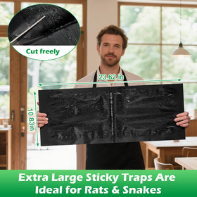 Motrapso sticky trap 26x11 kitchen area targets common pests.