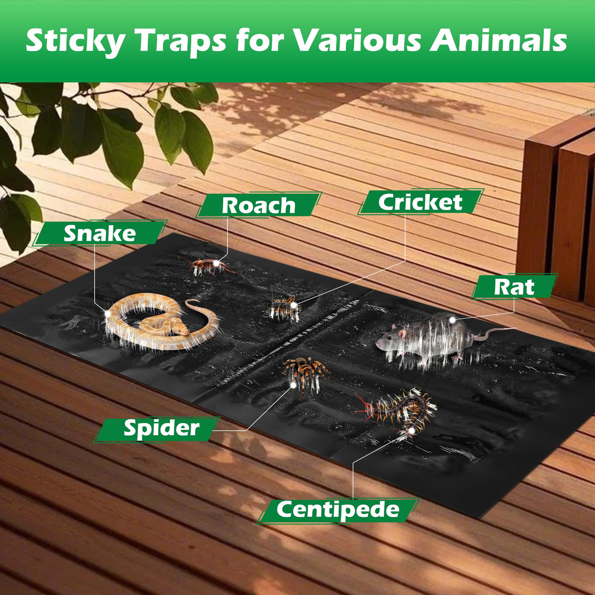 Motrapso sticky trap 26x11 under sink location catches pests along walls.