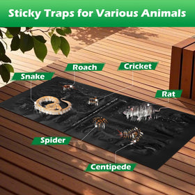 Motrapso sticky trap 26x11 under sink location catches pests along walls.