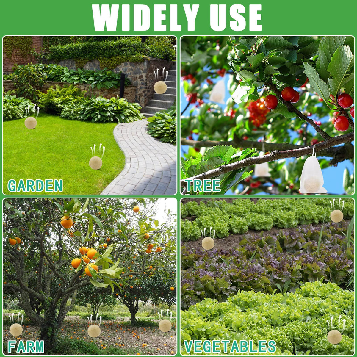 Motrapso sunproof and rainproof formulation maintains effectiveness outdoors.