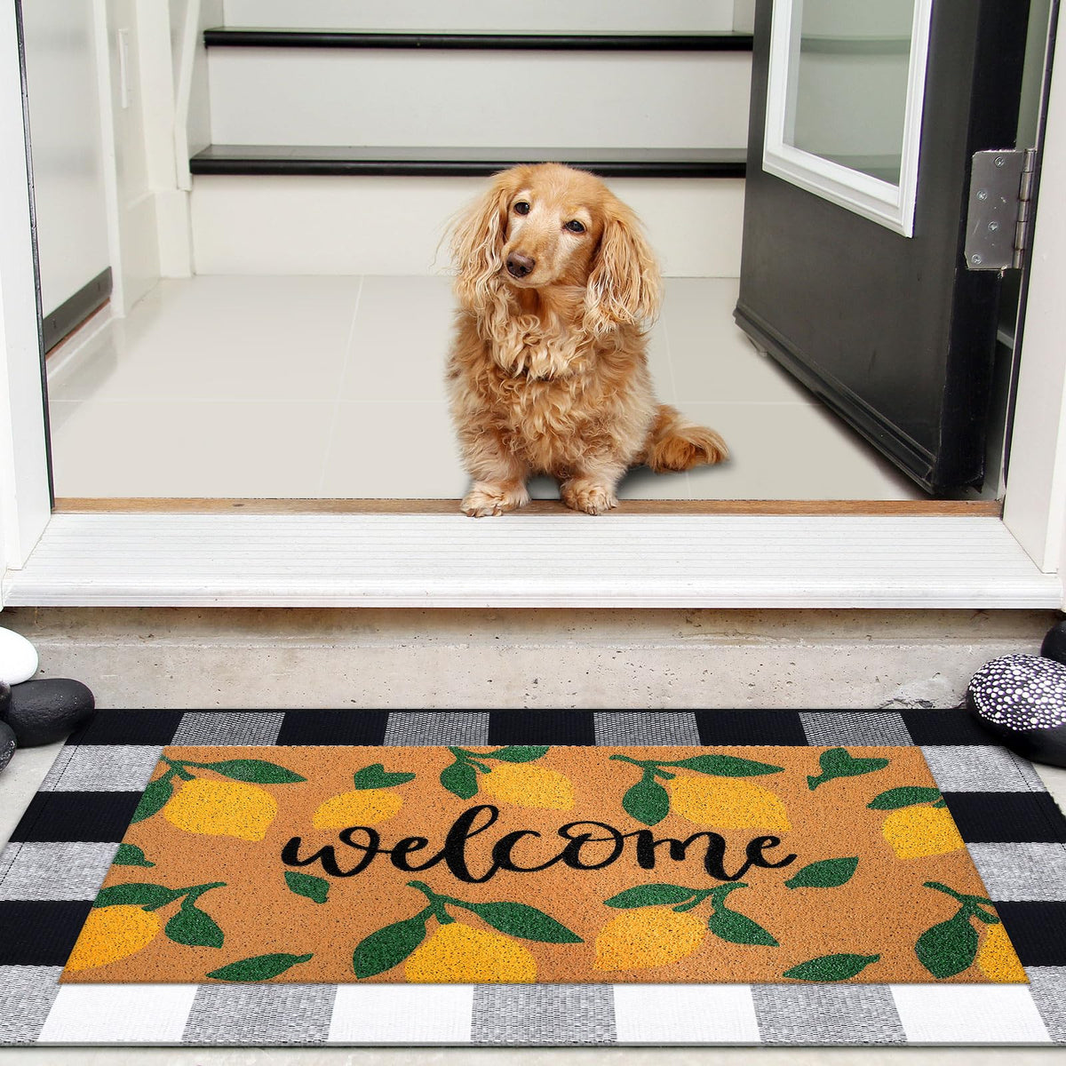 Moucuny mats in outdoor use resist moisture and capture dirt at the doorway.