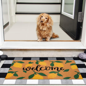 Moucuny mats in outdoor use resist moisture and capture dirt at the doorway.
