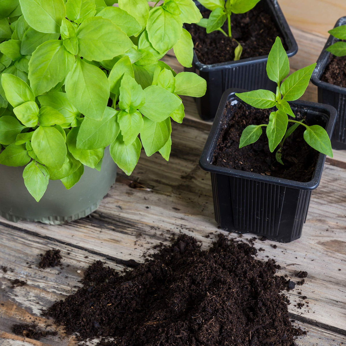 Outdoor use: mix Minute Soil into garden soil to improve moisture