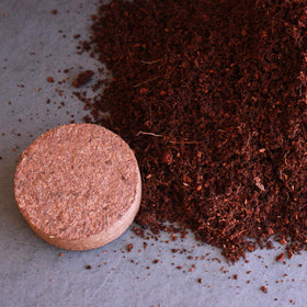 Hydrated Minute Soil creates an airy, well-drained substrate for roots