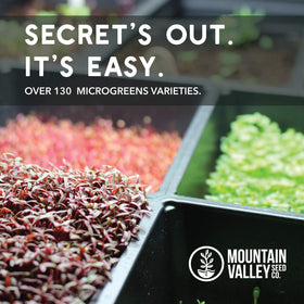 Mountain Valley Seed Company bulk seeds support commercial microgreen production and market-ready harvests.
