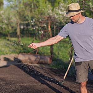 Mountain Valley Seed Company field coverage shows rye establishing soil protection