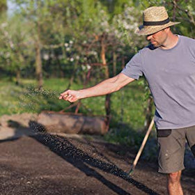 Mountain Valley Seed Company field coverage shows rye establishing soil protection