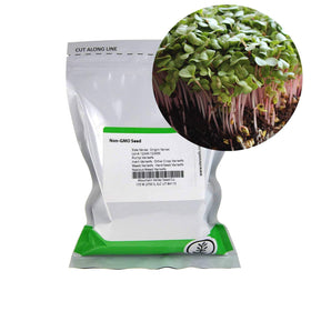 Mountain Valley Seed Co sprouting tray setup supports easy indoor growth