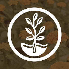 Mountain Valley Seed Company USA-packaged seeds, heirloom quality