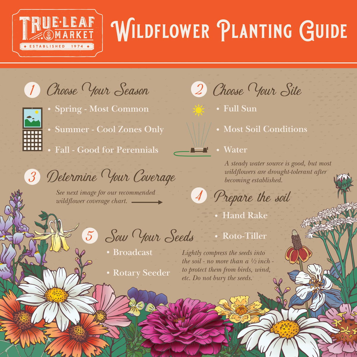 Colorful mixes from Mountain Valley brighten any garden bed.