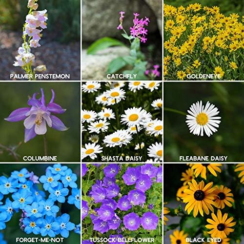 Mountain Valley 22-variety mix supports diverse blooms for seasonal color.