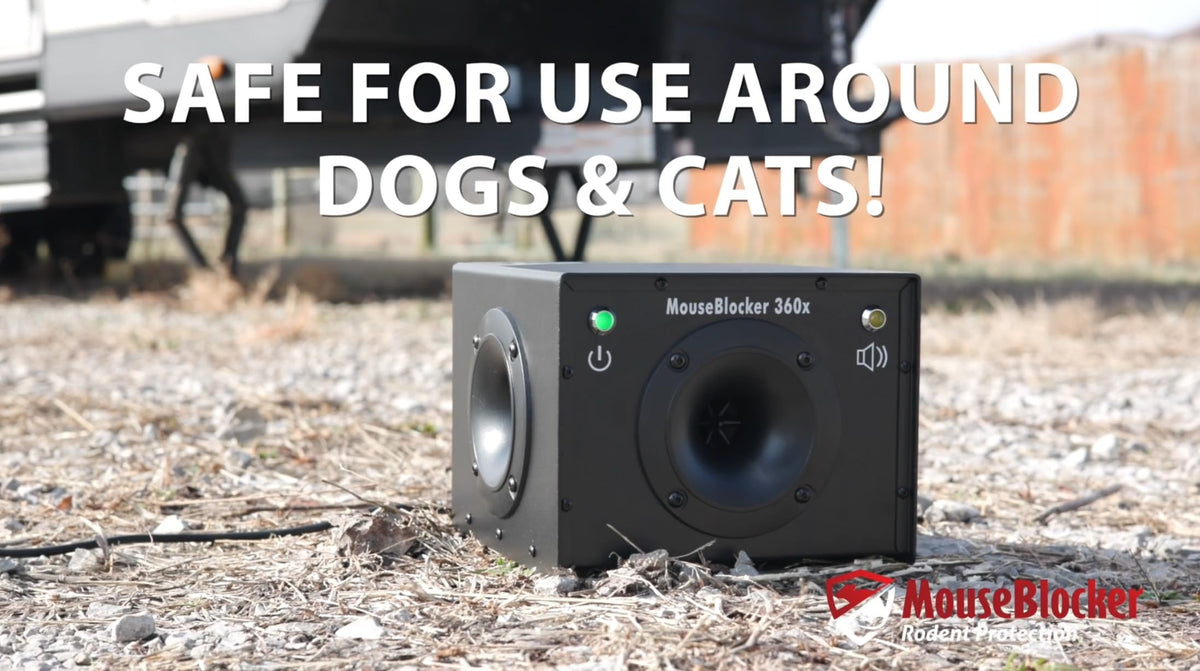 MouseBlocker 360 installed on patio demonstrates outdoor protection against rodents.