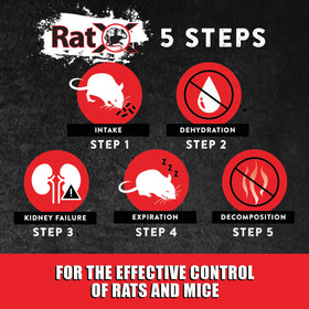 MouseX RatX acts within 3-5 days to reduce activity.