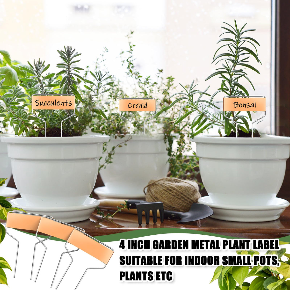 Moxweyeni 2-foot stake design eases soil insertion