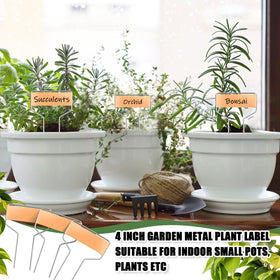 Moxweyeni 2-foot stake design eases soil insertion