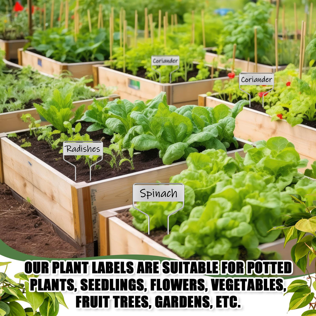 Moxweyeni elegant metal garden decor enhances yard aesthetics with labeled plants.
