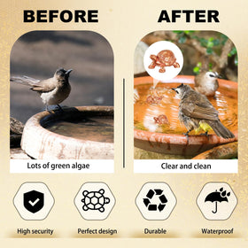 Moxweyeni four-pack copper disks provide cost-effective, year-round cleaning for birdbaths.