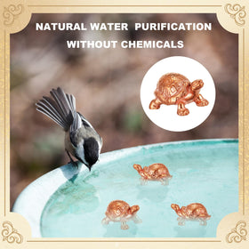 Moxweyeni zero-point-six-ounce copper disk fits small bowls and purifies water.