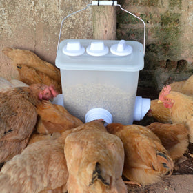 Mozoba chicken feeder with rain hood protects feed from moisture