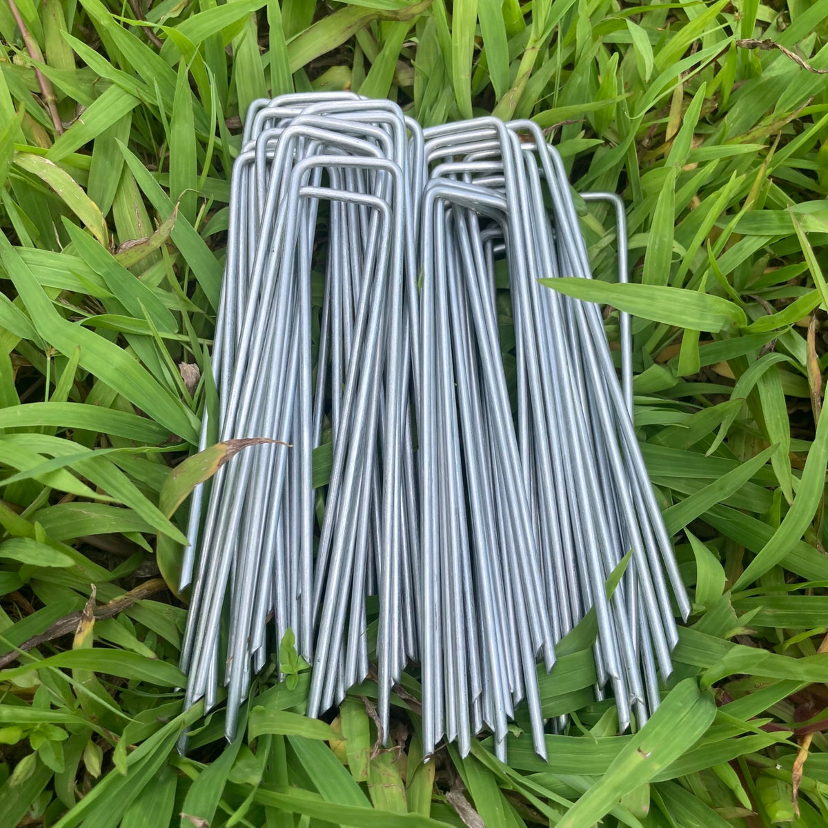 MPHKFDE 50-pack is ideal for large projects and seasonal decor.