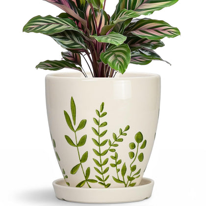 MPotTo ceramic pot for 6-inch diameter with drainage hole enhances plant health