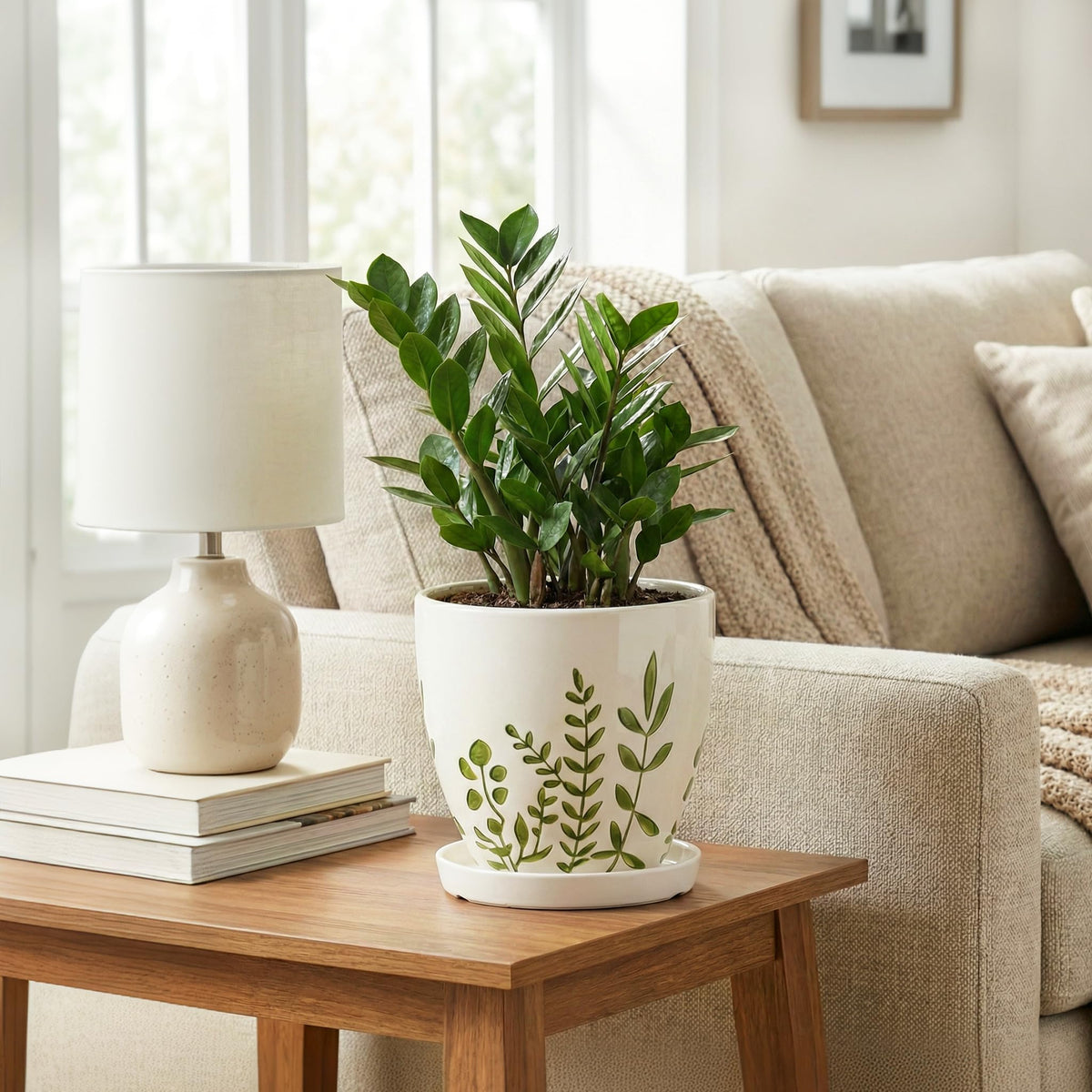 MPotTo white ceramic planter with matching saucer for clean indoor decor