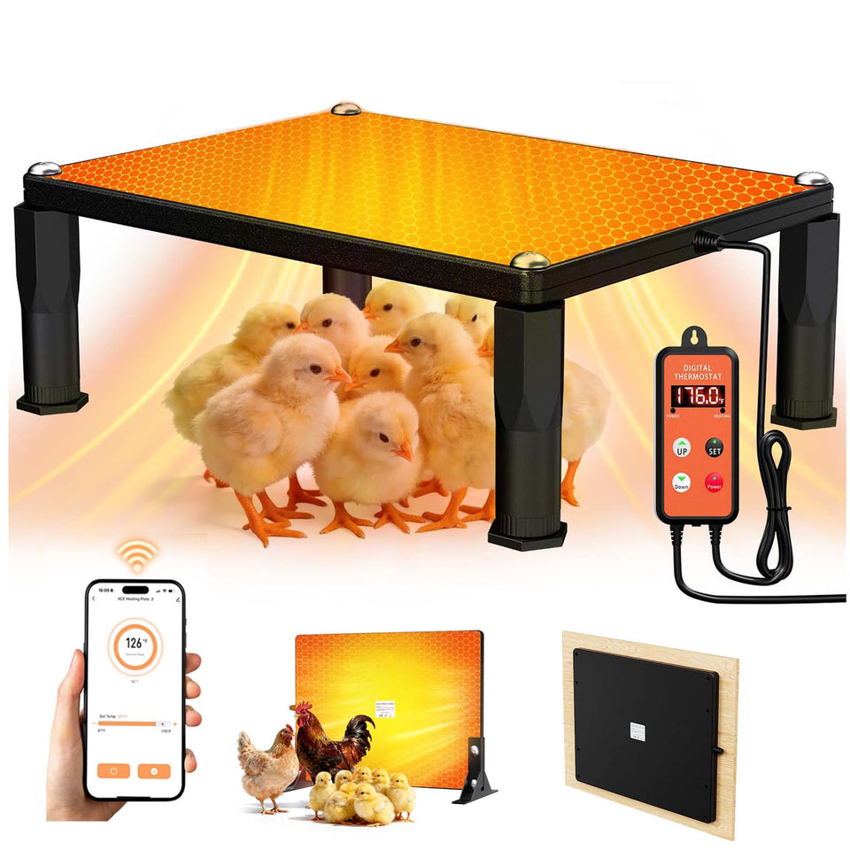 MQAAUP brooder heater warms chicks in a safe, cozy brood area.