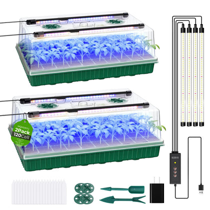 MQHUAYU seed starter tray with full-spectrum LED grow lights supporting early seedling growth