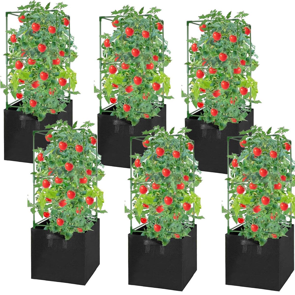 MQHUAYU 6-pack tomato cages with 17-gallon grow bags arranged for garden setup.